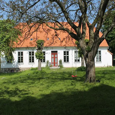 Appartement In Mit Terrasse, Cleaning Included